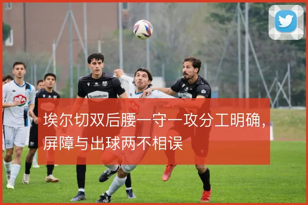 埃尔切双后腰一守一攻分工明确，屏障与出球两不相误
