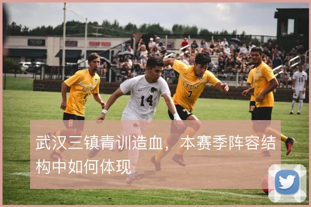 武汉三镇青训造血，本赛季阵容结构中如何体现